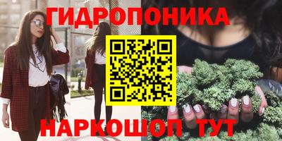 Альфа ПВП Моздок