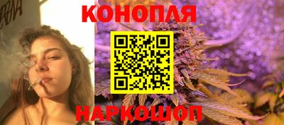 Альфа ПВП Моздок