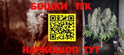 Альфа ПВП Моздок
