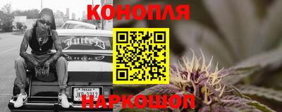 Альфа ПВП Моздок