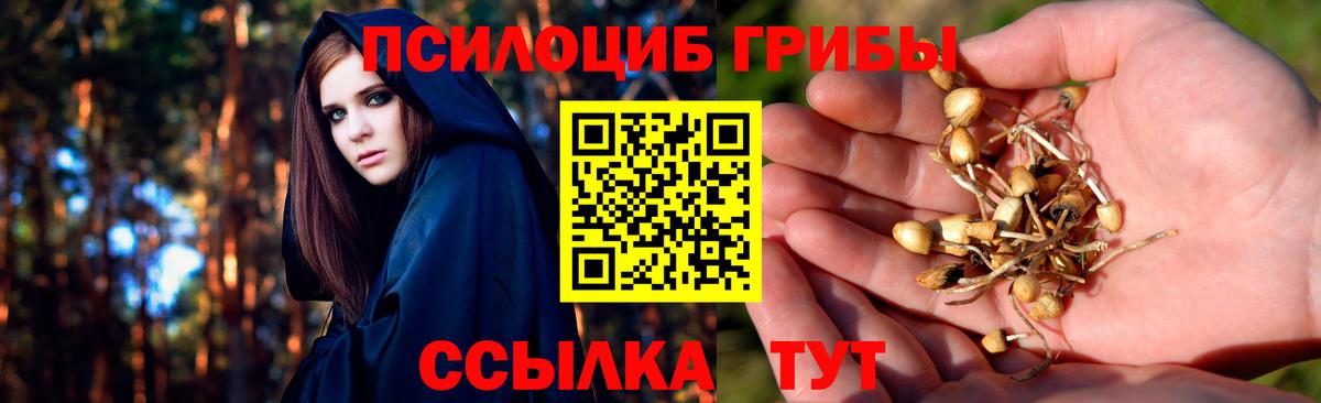 Янаул  Псилоцибиновые грибы Cubensis  Вход с VPN 